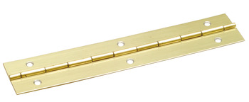 351.01.754 NP Piano Hinge